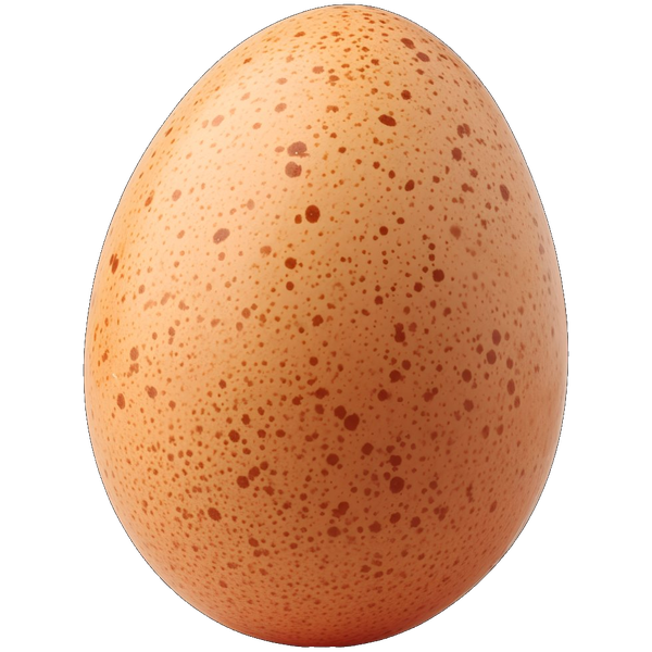 HatchJA egg